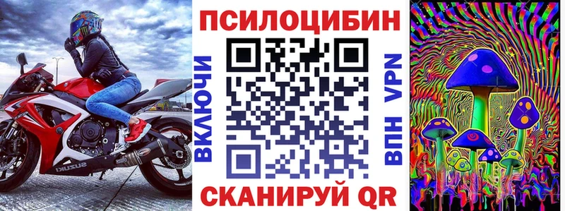Галлюциногенные грибы Cubensis  Курганинск 